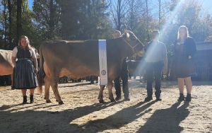 Champion Original Braunvieh_Harlei Holdria_Ren Stalder
